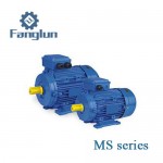 MS aluminum motor